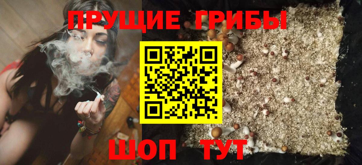 Псилоцибиновые грибы Cubensis  Псилоцибиновые грибы прущие грибы  Улан-Удэ  Вход с VPN 